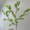 Plantas Verdes Simuladas Fruta Ding Ding Casamento Plantas de Engenharia Mobiliário para Casa Adereços de Fotografia Atacado Transfronteiriço Adereços de Fotografia