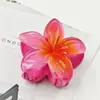 Grampo de Cabelo Quente da Amazonia Transfronteiriço Flor Bauhinia Flor Ovo Grampo de Cabelo Disco na Nuca Presilha de Cabelo Pinça Tubarão