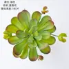 Planta Suculenta Flor de Lótus Azul Flor Artificial Decoração de Casamento Fundo de Casa Parede de Flores Fotografia Planta Verde Atacado Transfronteiriço
