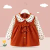 Capa Infantil Babador de Jantar para Bebê Impermeável à Prova de Sujeira Bolso para Jantar Saia de Princesa Avental Estilo Estrangeiro Outono e Inverno Vestir ao Contrário para Bebê
