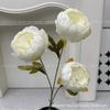 Simulação de jardim Monet branco, material para flores de auditório de casamento, plantio de flores de casamento, arte de flores Mori, chumbo de estrada, flores decorativas