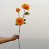 Flores de Dalia Artificiales, Crisantemos de Dalia con Aroma Natural, Accesorios de Decoración para Escenas de Boda, Decoración del Hogar, Suministro Transfronterizo