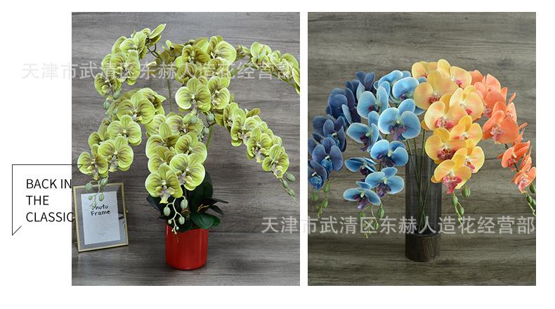 详情_09.png