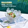 Nordic simples casa transparente Phnom Penh vidro salada tigela criativa de quatro folhas martelo padrão pratos Internet Celebrity Tableware Set