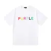 Comércio Exterior Marca da Moda Marca Roxa Logo Clássico de Letras Estampado Manga Curta Névoa Rua Americana Marca da Moda Camiseta