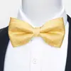 Estoque Pronto do Fabricante Gravata Borboleta Jacquard Formal Masculina para Negócios, Casamento, Festa, Gravata Borboleta Floral de Poliéster em Forma de Seta