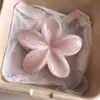 Grampo de cabelo suave estilo coreano para mulheres, estiloso, doce, de alta aparência, elegante, novo grampo tubarão 2026 para a parte de trás da cabeça