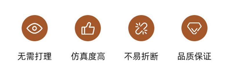 通用详情_02.jpg