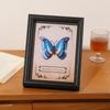 Marco de Fotos con Espécimen de Mariposa Hueca de 2 cm Mesa Flor Seca Colección de Insectos 6 pulgadas 8 pulgadas A4 Diy Marco de Fotos Conmemorativo Hecho a Mano