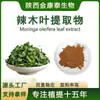 Extracto de Hoja de Moringa Oleifera Polvo de Hoja de Moringa Oleifera Soluble en Agua Extracto de Hoja de Moringa Oleifera