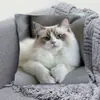 Funda de Cojín para Sofá Transfronteriza, Felpa Corta Amigable con la Piel, Linda Funda de Cojín de Animal Gato, Funda de Cojín para Sala de Estar, No Incluye Relleno