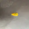 Gancho linterna de bambú poste portátil linterna de loto antigua asa accesorios para linterna del Festival de Medio Otoño poste portátil de bambú y madera perforado