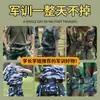 Cintos Específicos para Treinamento Militar para Homens e Mulheres, Adequados para Adolescentes, Estudantes Universitários e Estudantes do Ensino Médio, com Design Camuflado Elástico e Ajuste Regulável