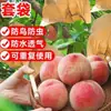 Sacos para ensacar pêssegos, ensacamento de frutas, ferramenta de proteção contra pássaros e insetos, sacos de rede para pêssegos, melão, pêssegos amarelos para jardinagem