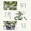 Planta Verde Simulada Olivo con Frutos Rama de Olivo Decoración de Interiores Maceta Grande Accesorios para Bodas Adornos de Árbol Falso Personalización