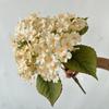 Simulação de novo produto transfronteiriço Hortênsia Decoração de casamento Layout de cena de hotel Flores falsas Adereços de fundo de fotografia Flores artificiais
