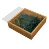 Oco 4cm flor seca moldura da foto quadrado de vidro de vidro duplo lado quadro de armazenamento do brinquedo DIY planta quadro de espécime tridimensional