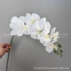 Plantas Verdes Artificiais para Casamento, Grama Aspargo Verde Estilo Floresta, Flores Artificiais Verdes, Materiais Florais Artificiais para Casamento, Série de Decoração para Salão de Casamento