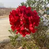 Hidrangea grande de una sola cabeza Comercio exterior Hidrangea grande de estilo coreano Hidrangea de simulación Hotel Boda Decoración suave Flores artificiales