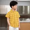 Camisa de Manga Corta para Niños Verano 2023 Ropa Infantil Camisa a Cuadros Infantil Top Casual de Solapa Estilo Coreano Ropa Infantil Verano