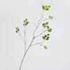 Nuevas Ramas y Hojas de Simulación de Sentido Chino Hojas de Abedul Hojas de Otoño Ramas Sala de Estar Decorativas Flores Falsas Adornos de Flores de Paisaje Creativo