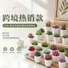 Más de 100 Tipos de Combinaciones de Plantas Suculentas Mini de Plástico Simuladas en Maceta, Mini Bonsáis Suculentos Más Vendidos Transfronterizos, Decoración para el Hogar, Adornos Creativos