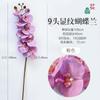 Estilo Chino 9 Cabezas Mostrando Patrón Phalaenopsis Hotel Hogar Belleza Chen Planta en Maceta Arreglos Florales Adornos Flor de Seda Flor Colorida Melocotón Peludo
