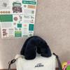 Bolsa Cuadrada Pequeña de Panda Maomao Linda para Mujer 2025 Nueva Moda de Nicho Bolsas Esponjosas Estilo Coreano Bolso Cruzado de Alta Textura