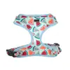 En stock: Arnés de Perro de Alta Calidad de Sandía para Verano con Absorción de Impactos, Transpirable, Antideslizante Chaleco para Mascotas, Popular Set de Suministros para Perros