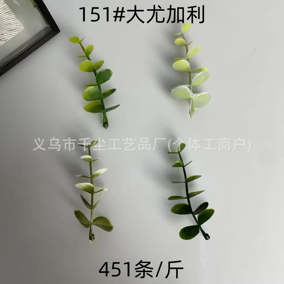 151#大尤加利.jpg