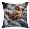 Funda de Almohada de Gato Más Vendida en Temu, Funda de Almohada de Animales Linda y Divertida, Funda de Cojín Decorativa para Dormitorio, Hogar, Sofá, Venta al por Mayor
