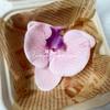 Flor artificial Phalaenopsis flor 3D de película cabeza de flor estilo ramillete regalo de mano LV Fu regalo DIY caja de regalo decoración de boda