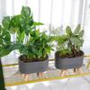 Vaso para Orquídea Phalaenopsis, Vaso Autoirrigável para Preguiçosos, Display de Mesa Varanda Alugada, Vaso de Flores com Reservatório de Água Interno, Fabricante com Pés de Madeira Maciça