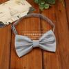 Vestido de Cor Sólida Gravata Borboleta Masculina Casamento Gravata Borboleta de Negócios para Adulto Cavalheiro Borboleta Monocromática Coreana de Rayon