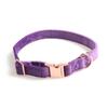 Jinjite novo veludo coleira para animais de estimação arco coleira de cachorro rosa ouro fivela de metal completo cross-border venda quente