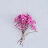 Mini buquê de flores secas decoração de cartão faça você mesmo material adereços de tiro caixa de presente acessórios pequeno buquê presente de mão corsage