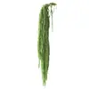 Flores eternas verdes, atmósfera de primavera, decoración del hogar, ramos para tiendas, decoración de ropa de mujer, materiales de flores secas, arreglos florales de recepción, ramas para escenas