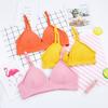 Ropa interior de estilo francés con copa triangular envuelta en el pecho para mujer, fina, para chica de secundaria, pecho pequeño, hermosa espalda, tirante de hilo, top tipo tubo sin aro de acero