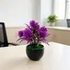 Adorno de Bonsái de Simulación Flores Artificiales Mini de Plástico Plantas Pequeñas en Maceta Flores de Simulación Decoración de Mesa de Café Escritorio Mesa Fresca Pequeña
