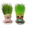 Una Planta Pequeña en Maceta Que Florece al Regarla sobre el Cabello de una Muñeca de Cabello Largo, Adecuada para la Observación del Crecimiento de Plantas en Jardín de Infancia, Fácil de Cuidar y Mantener por Niños