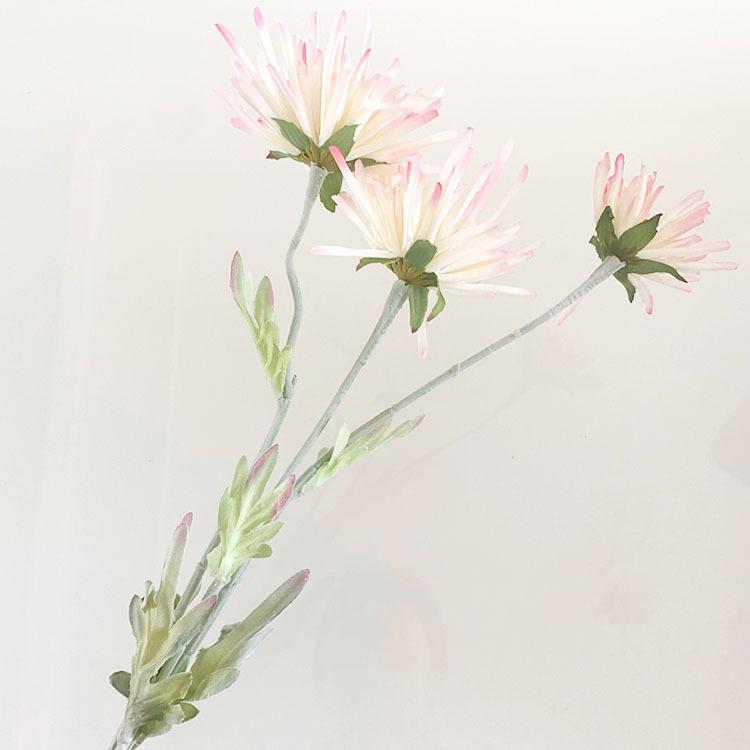 IMG_8026(20220721-111325)