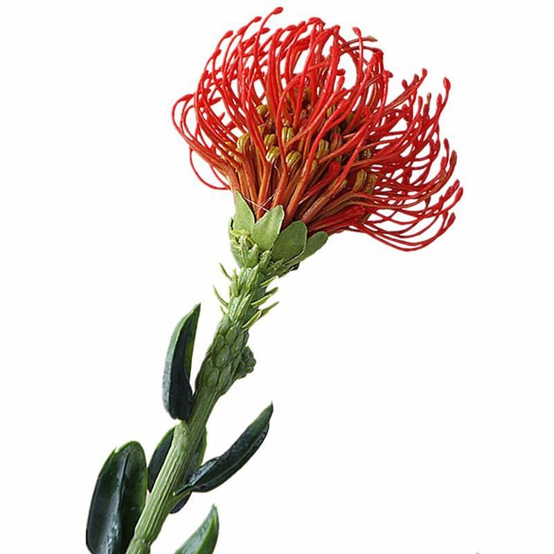 一键复制_20201118155724