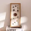 Estrutura Tridimensional Oca para Amostras 8 polegadas 7 polegadas Modelo de Argila de Inseto Porta-Retrato com Flores Secas Atacado Feito à Mão DIY Porta-Retrato de Mesa