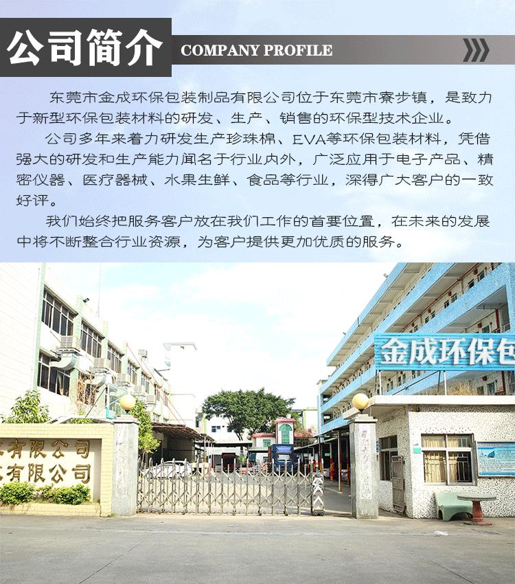 6公司简介