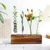 Fuente transfronteriza asiento de madera tubo de ensayo verde floral planta verde arreglo floral jarrón de vidrio mesa de sala de estar decoración de flores