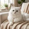 Colar de Coleira Estiloso e de Design Único para Animais de Estimação, Pingente Fofo Estilo Princesa para Gatos, Gargantilha Adorável para Teddy e Bichon