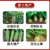 Fertilizante Foliar para Agrandamiento de Zanahoria para Rábano Blanco, Zanahoria y Rábano Verde para Prevenir el Agrietamiento y Daños por Heladas, Fertilizante Especial Soluble en Agua para Control de Agrandamiento