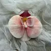 Flores Artificiais com Textura de Alta Qualidade, Orquídeas Phalaenopsis, Sacolas de Presente, Sacolas para Doces de Casamento, Flores para Sapatos Furoshiki, Flores para Chapéu, Decorações Florais para Sapatos