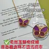 Versión Alta Trébol de Cuatro Hojas Estilo Nuevo Rima Púrpura Aroma a Flor de Ciruelo Pulsera de Cinco Pétalos Mariposa Mismo Estilo que Celebridad de Internet Collar de Mariposa Azul de Gama Alta