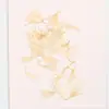 Flores de Centáurea Secas Naturais, Flores Prensadas para Nail Art, Adesivos Faciais, Enfeites de Resina para Fotos, Kits de Materiais Artesanais, Espécimes Vegetais
